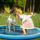 Piscina para Pets com chafariz