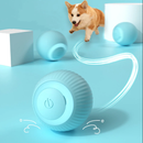 Bola rolante automática,Cães e Gatos Brinquedo interativo