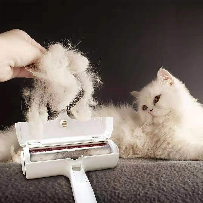 REMOVEDOR DE PELOS SOLTOS